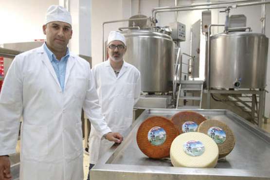  La quesería teldense Lomo Gallego agradece la campaña del Cabildo de apoyo al sector primario (Foto Acfi Press)